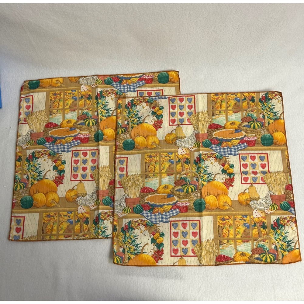 Autumnโ Harvest Farmhouse Multicolor Pumpkin Cloth Napkins Set 2